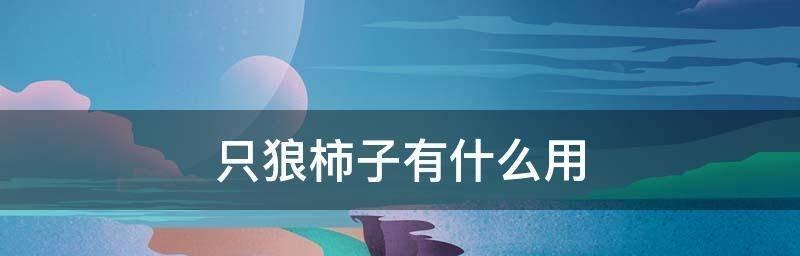 《以只狼》中普通柿子的获取方法（游戏攻略）